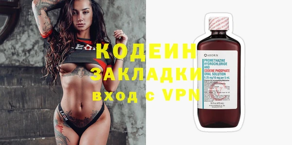 индика Рославль