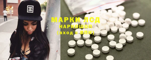 индика Рославль