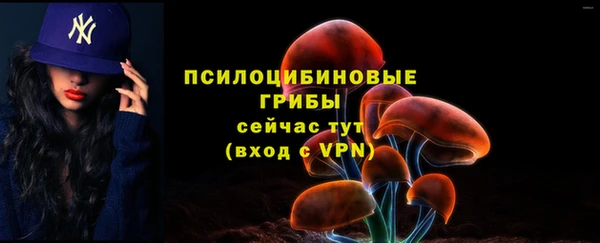ГАЛЛЮЦИНОГЕННЫЕ ГРИБЫ Белоозёрский