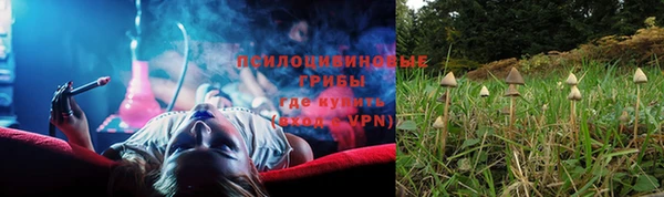 ALPHA PVP Белокуриха