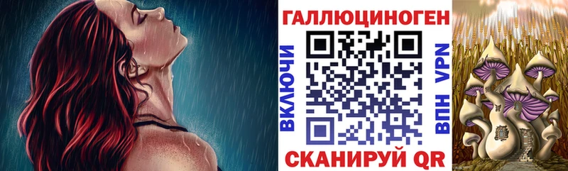 Псилоцибиновые грибы ЛСД  гидра ТОР  Нариманов 